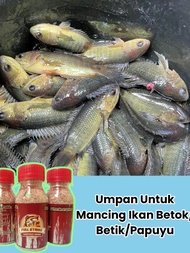 Pengumpul Perangsang Umpan Untuk Mancing Ikan Betok Betik