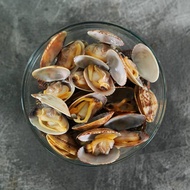 Asari Lala 31/40 [NR Farmers Market ]