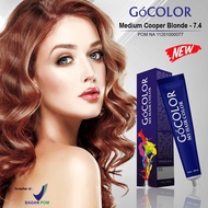 CAT RAMBUT / GO COLOR HAIR COLOR CREAM 100 ML