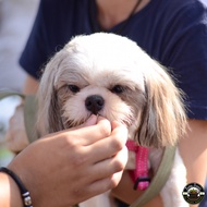 Furry Treats Duck Gizzard Munchies