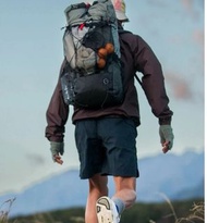 Yamatomichi Mini2 Backpack L 山と道 輕便防潑水登山雙肩包 揹包