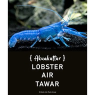 Akuakultur Lobster Air Tawar [ E- Book ]