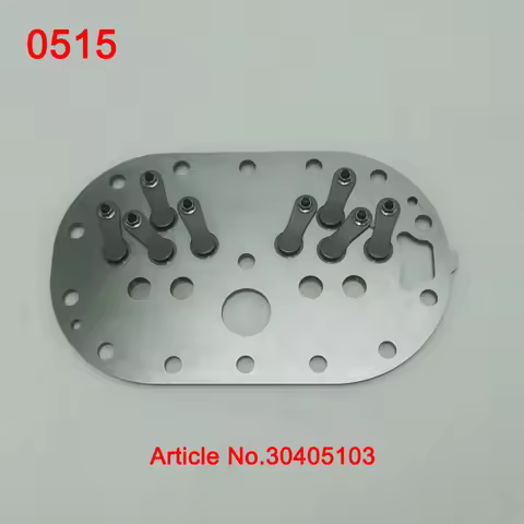 30405103 4G-20.2 4G-30.2 4G-20.2Y 4G-30.2Y-40P 4G.2 4G.2Y Valve plate assy for Refrigeration compres