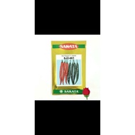 SAKATA 461 LADA KULAI LADA BESAR LADA MASAK LADA - PAX JIMAT