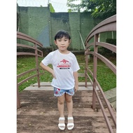 REDLOVE136 ( TERBARU ) BAJU ANAK 17 AGUSTUS / KAOS ANAK 17 AGUSTUS /