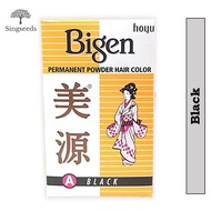 Bigen Hoyu Japan Permanent Powder Hair Color Natural (A Black) Hair Colour Dye