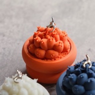 短豪刺象牙丸按键鎖匙扣 鑰匙圈/吊飾/多肉塊根/辦公室擺設/盆栽