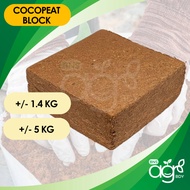 [±4-5KG/BLOCK] [±1.4KG/BLOCK] AgroBuddy Bongkah Sabut Kelapa | Compressed Cocopeat Block Brick 种植椰糠椰