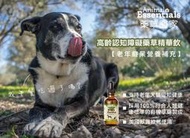 &lt;嚕咪&gt;Animal Essentials藥草醫家-高齡認知障礙藥草精華飲&lt;60ml&gt;適用犬貓