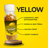 Udang Kering Pakan Ikan Channa Maru Yellow Sentarum Auranti Limbata Pulchra Oscar Tiger Batik Albino