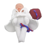 1:1 Life Size Placenta-Childbirth Simulator Female Pelvis Baby Model for Study Teaching Fetus Umbili