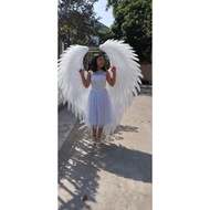 Angle wings - angel wings length 1m6 width 1m4