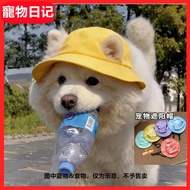 Dog Hat Cat Dog Revealing Ears Pet Summer Thin Sun Hat Corgi Shiba Inu Teddy Outing Decoration Cat D