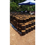 COCOPEAT@SABUT KELAPA POLIBAG 16X16 [ SAYUR & BUNGA]
