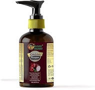 Herbs Botanica Red Onion Hair Growth Shampoo with Caffine Curry Leaf and Indian Alkanet Root | Contr