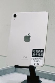 Apple iPad mini 6 8.3吋｜256G Wi-Fi｜星光色 台東#114