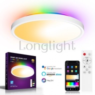 Flush Mount Smart LED Ceiling Light,WiFi & Bluetooth &2.4G Remote Control,2700~6500K White Light/RGB