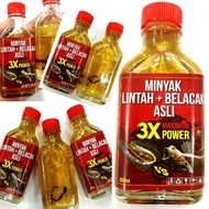 MINYAK LINTAH+ BELACAK ORIGINAL