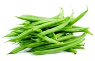 Dwarf Bush Beans *Green *seed