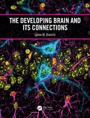 The Developing Brain and its Connections Lynne M. Bianchi