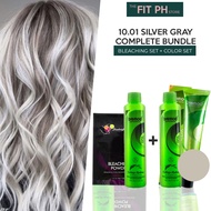 SILVER GRAY COMPLETE BUNDLE! Bremod Hair Color & Hair Bleaching Set