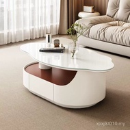 Light Luxury Premium Living Room Household Cloud Nordic Slate Designer High-End Modern Simple Small 