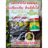 Imic Pro Plus 1kg And Nano 100 Capsules