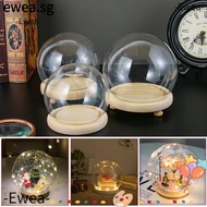 EWEA Glass cloche Fairy Lights Terrarium Tabletop Spherical Terrarium Transparent Bottle Glass Vase Wooden base