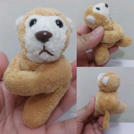 -` ́- Bear Animal Hobbies and Collections