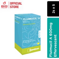 FLUIMUCIL A 600MG EFFERVESCENT TEF 2SX5