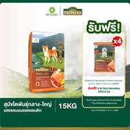 Perfecta Wellness Medium-Large Adult Dogs Salmon 15 KG Dog Food