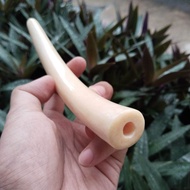 Once pipa cangklong iga duyung kristal pucuk super tebal 19-20cm melengkung