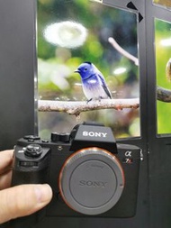 sony A7R2 A7R II A7RM2 A7 rII 超新淨