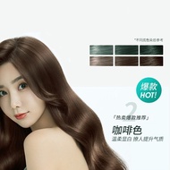 植华士 植萃护染膏 懒人染发剂 (30 ml x 10 pcs) Hair Color Dye Shampoo 泡泡染发剂 染发膏 染盖白发 Pewarna Rambut Putih