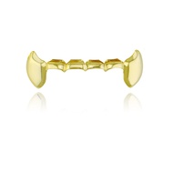 Glossy Hip Hop Single Tip teeth grillz