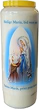 Madonna di Lourdes Prayer Candle in Glass Novena 18 x 7 cm 100% Vegetable Burning Time 9 Days - 216 