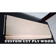 CUSTOM CUT PLY WOOD -request cut-