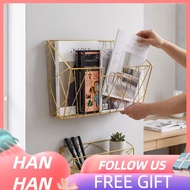 hanhan1 Wall Mounted Publication Rack File Holder Metal Decorative Storage Shelf for Living Room Kit