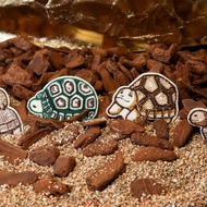 刺繡貼紙【安哥洛卡陸龜】立體刺繡 DND