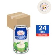 Ice Cool Young Coconut Can Juice Pulp 24 x 310ml