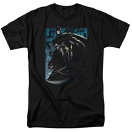 Knight Falls In Gotham Dc Comics Licensed Adult Tops Casual Streetwear T-Shirt