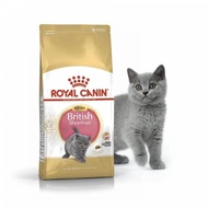 Royal Canin british short hair kitten 2kg