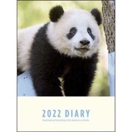 熊貓2022 A6月間schedule