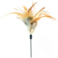 AMY N CAROL Cat Teaser - Chicken Feather (Brown)