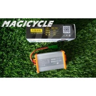 Electric Bike DC to DC Converter 48v to 80v into 12v