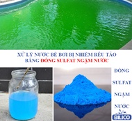 [HCM]Đồng Sunphat⚡Đồng Sulfat⚡Đồng Sulphat (CuSO4) dùng Cắt Rong Rêu Tảo Nấm trên Cá đồng sunfat Gói