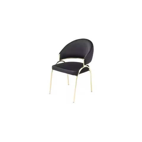 Black Metal Chair, Gold Legs, Contemporary Design, Ruby