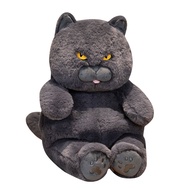 Fat Cat Plush Stuffed Animals Toy Lifelike Black Cat Toy for Boys and Girls Children Xmas Birthday G