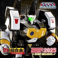 全新 靚盒 現貨 DX超合金 VF1S VF-1S ARMORED VALKYRIE (ROY FOCKER SPECIAL) 裝甲女武神 (羅伊·福克特製) 2025 魂展