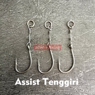 ASSIST TENGGIRI & BARRACUDA ~ Assist Stainless Steel Wire Fishing Hook Assist Hook